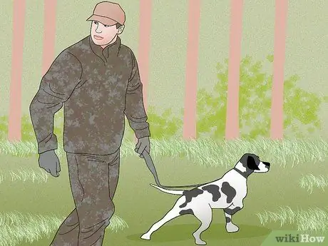 Охота на диких свиней Шаг 13