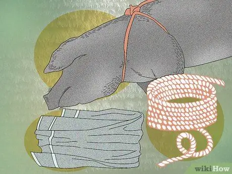 Охота на диких свиней, шаг 6