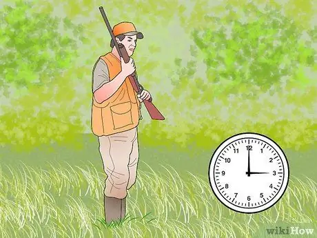 Охота на диких свиней, шаг 7