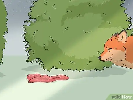 Привлечь лисиц Шаг 1