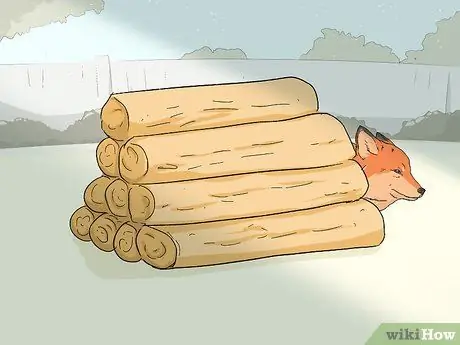 Привлечь лисиц Шаг 11