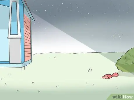 Привлечь лисиц Шаг 4