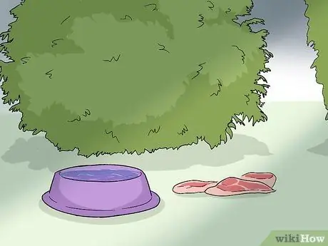 Привлечь лисиц Шаг 5