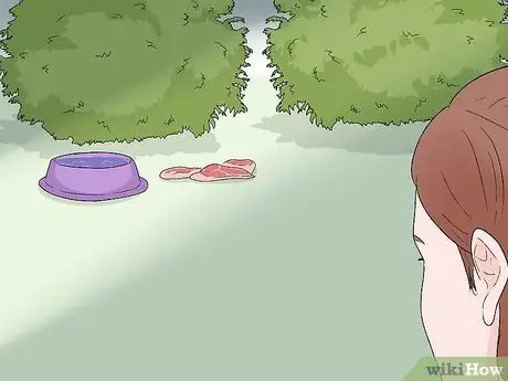 Привлечь лисиц Шаг 6