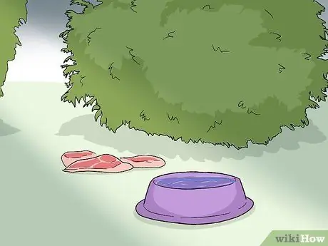 Привлечь лисиц Шаг 8