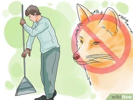 Deter Foxes, шаг 1