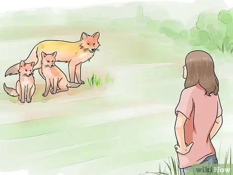 Deter Foxes Шаг 17