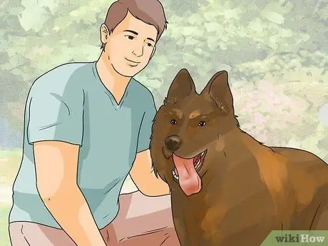 Deter Foxes Шаг 7