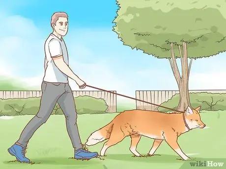 Приручить лису Шаг 11