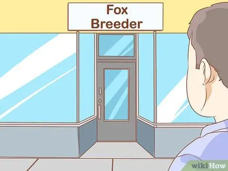 Приручить лису Шаг 4