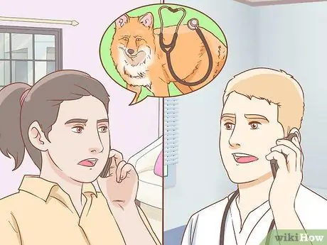 Приручить лису Шаг 5