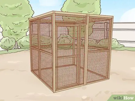 Приручить лису Шаг 6