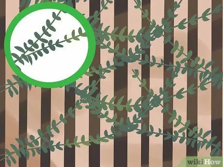 Уход за сахарным парапланом Шаг 10