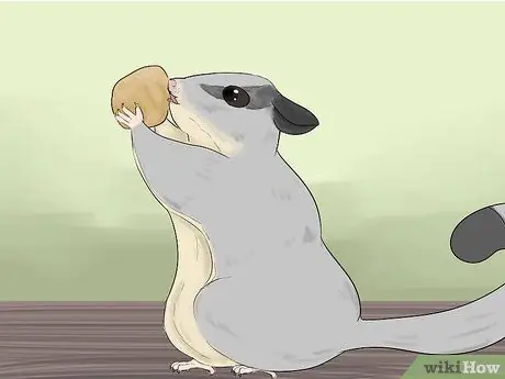 Уход за сахарным парапланом Шаг 13