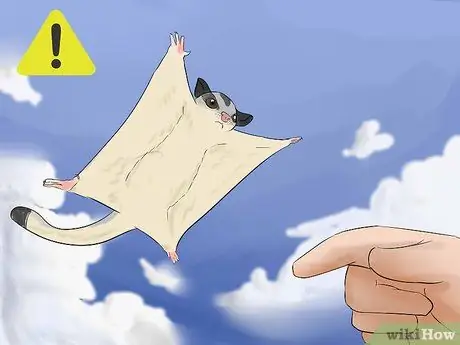 Уход за сахарным парапланом Шаг 5