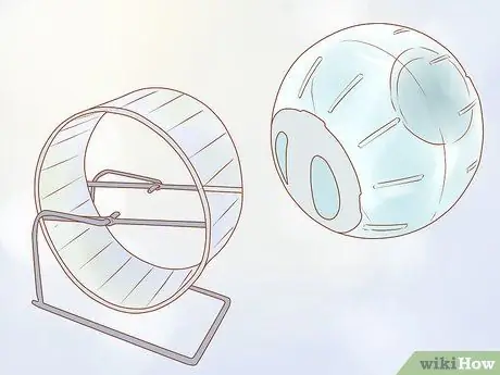 Уход за карликовыми хомяками Шаг 10