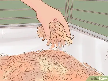 Уход за карликовыми хомяками Шаг 3