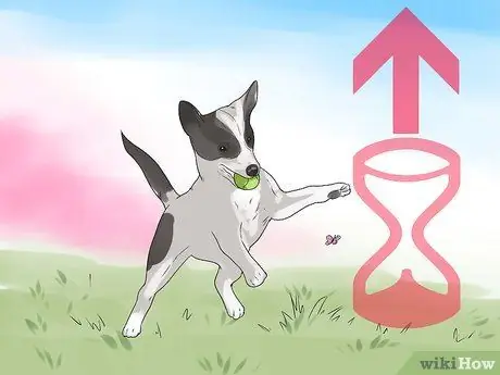 Обучите щенка или помогите ему перестать плакать, когда он заперт или на улице Шаг 6