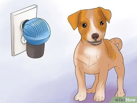 Обучите щенка или помогите ему перестать плакать, когда он заперт или на улице Шаг 7