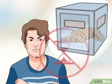 Обучите щенка или помогите ему перестать плакать, когда он заперт или на улице Шаг 12