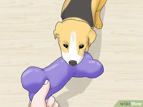 Обучите щенка или помогите ему перестать плакать, когда он заперт или на улице Шаг 2