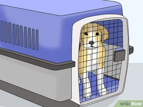 Обучите щенка или помогите ему перестать плакать, когда он заперт или на улице Шаг 4