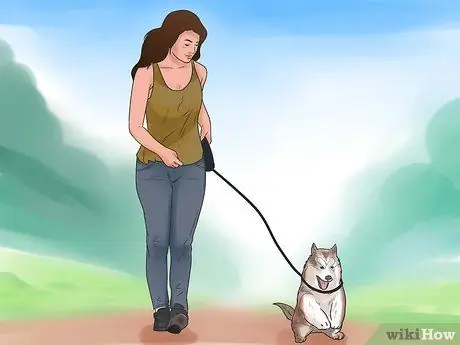 Обучите щенка или помогите ему перестать плакать, когда он заперт или на улице Шаг 1