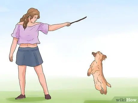 Обучите щенка или помогите ему перестать плакать, когда он заперт или на улице Шаг 2