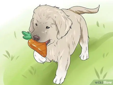 Обучите щенка или помогите ему перестать плакать, когда он заперт или на улице Шаг 3
