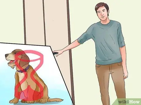 Обучите щенка или помогите ему перестать плакать, когда он заперт или на улице Шаг 4