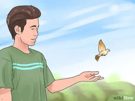 Ухаживайте за птенцом, если мама уходит Шаг 12