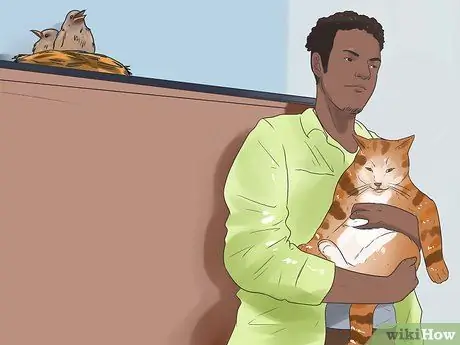 Ухаживайте за птенцом, если мама уходит. Шаг 2