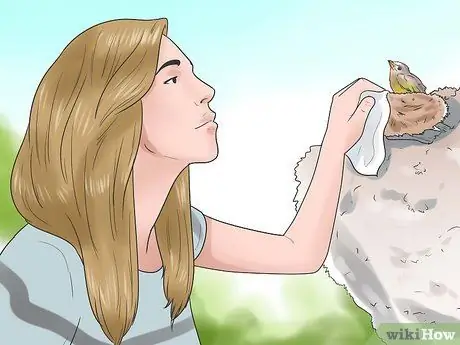 Ухаживайте за птенцом, если мама уходит Шаг 5