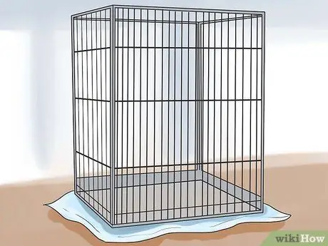 Ухаживайте за птенцом, если мама уходит Шаг 8