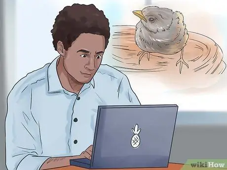 Ухаживайте за птенцом, если мама уходит Шаг 9