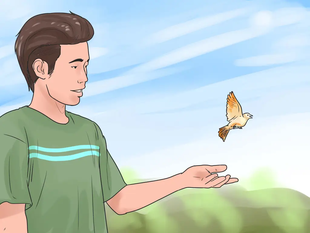 3 способа ухаживать за птенцом, если мама уходит