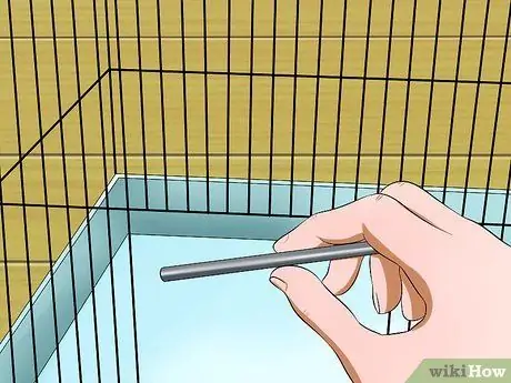 Приручить птицу Шаг 11