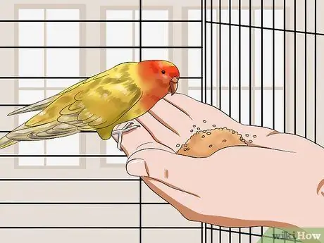 Приручить птицу Шаг 6