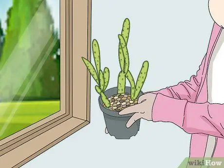 Предотвращение полета птиц в Windows Шаг 8