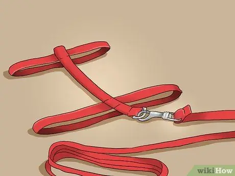 Выведите свою домашнюю птицу на улицу, шаг 1