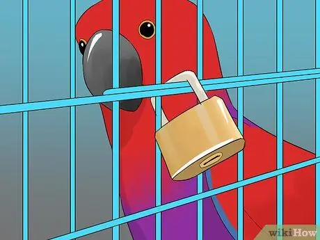 Выведите свою домашнюю птицу на улицу, шаг 10