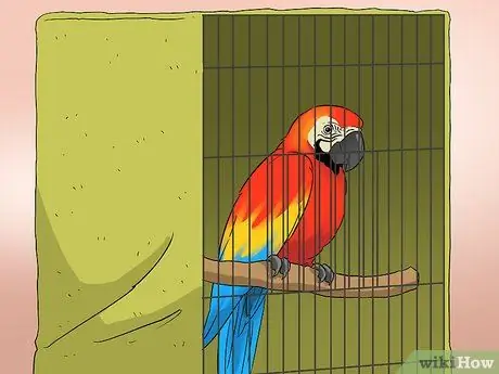 Выведите свою домашнюю птицу на улицу, шаг 11