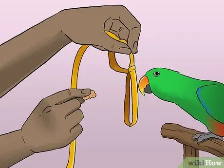 Выведите свою домашнюю птицу на улицу, шаг 4