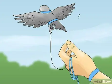 Выведите свою домашнюю птицу на улицу, шаг 6