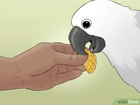 Выведите свою домашнюю птицу на улицу, шаг 8