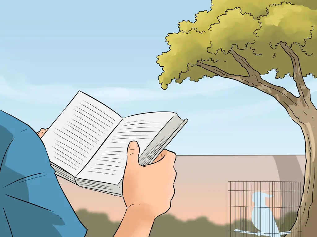 Как вывести птицу на улицу: 13 шагов (с изображениями)