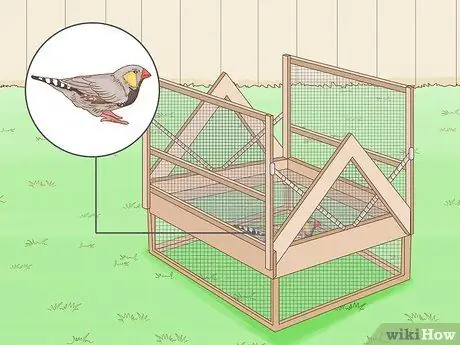 Поймать ястреба Шаг 4