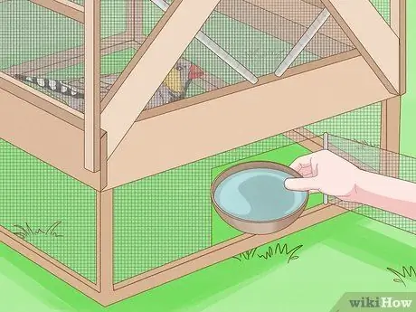 Поймать ястреба Шаг 5