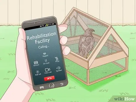 Поймать ястреба Шаг 6