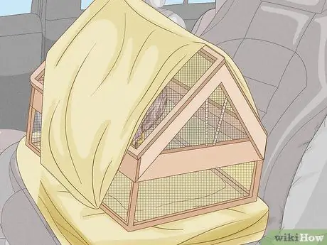 Поймать Ястреба Шаг 7